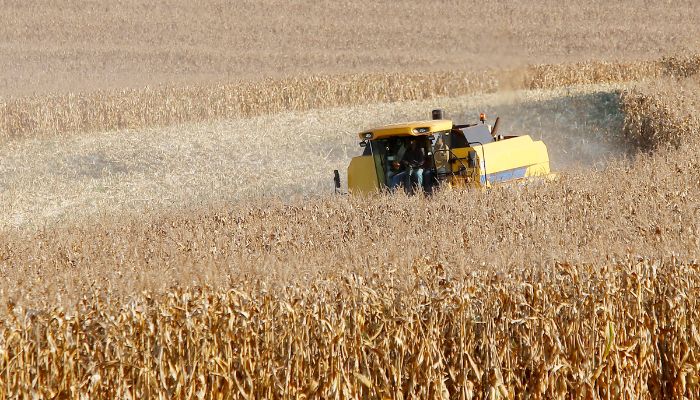 Paraná desponta como novo polo de etanol de milho com salto de 71% na produção